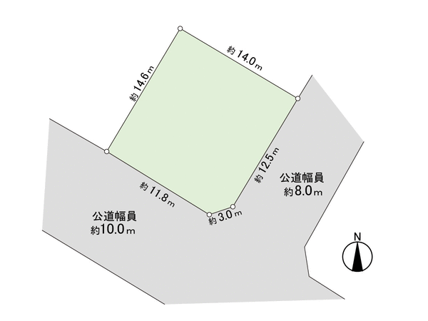 清田５条２丁目　土地 地形図