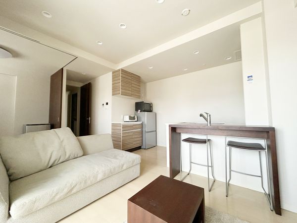 ラ・クラッセ札幌ステーションラフィーネ リビング