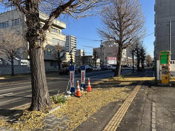 前面道路（公道）