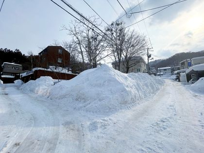 界川2丁目 土地 土地写真