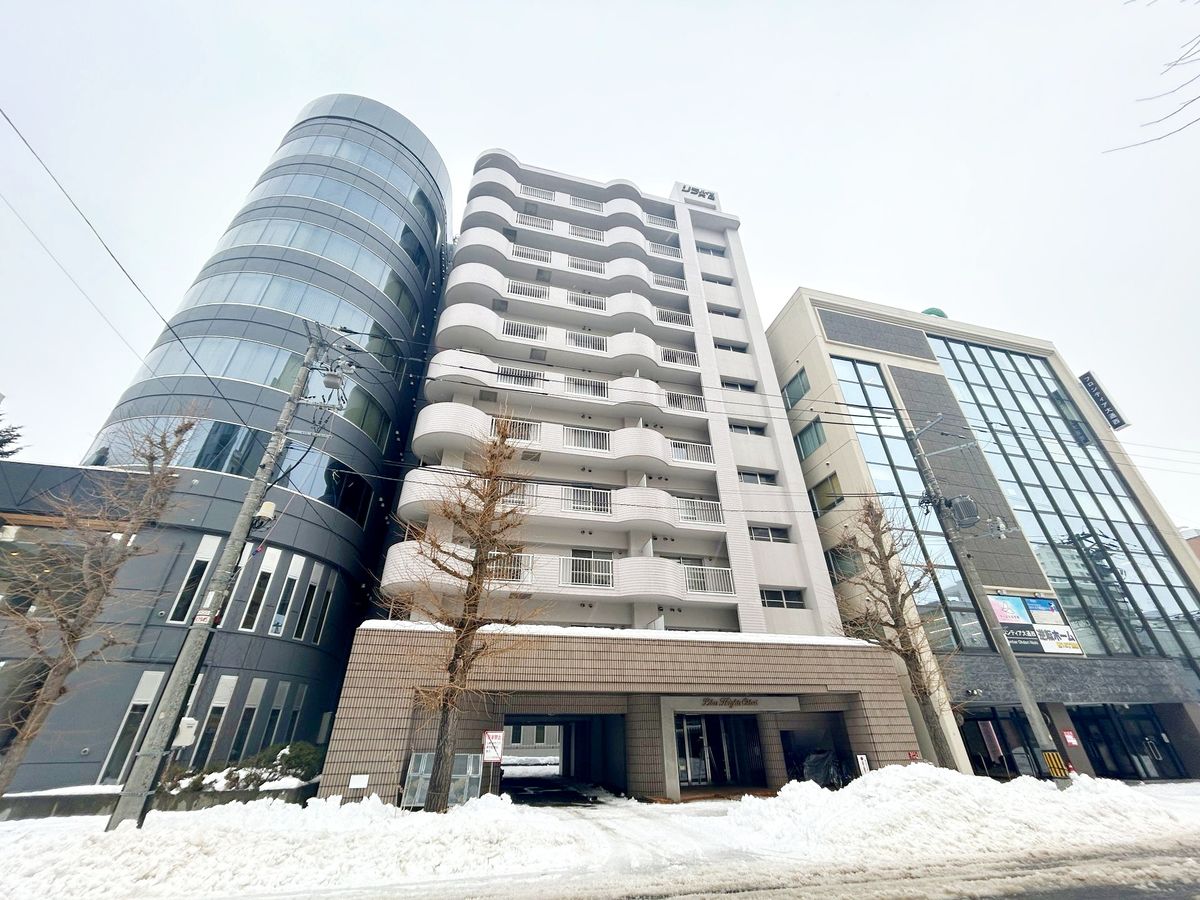 リラハイツ大通 外観 外観