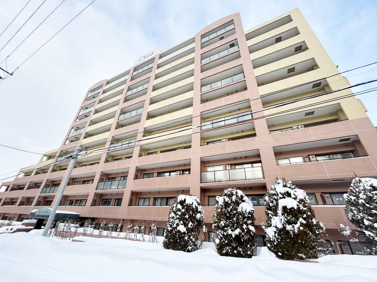 セザール旭ヶ丘 外観 外観