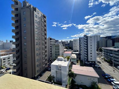 ダイアパレス大通西 眺望 眺望