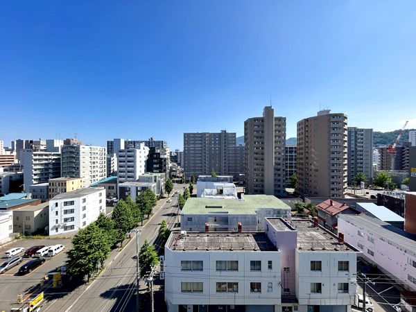 ドミール円山北2条 眺望