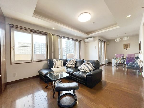 エスセーナ北7条ルネス リビング エスセーナ北7条ルネス リビング