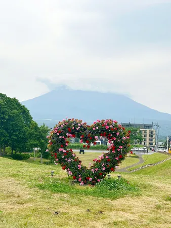 ひらふ坂からの羊蹄山。
