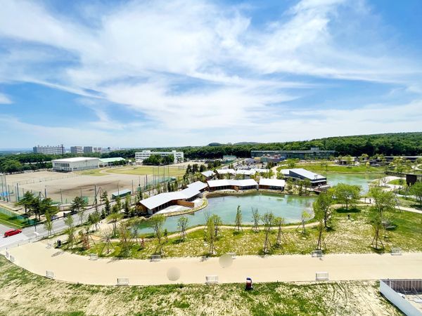 レ・ジェイド北海道ボールパーク 眺望 眺望