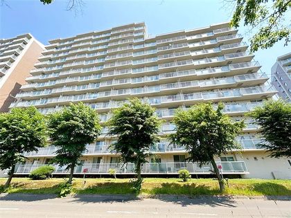 シティアベニュー サードコート 外観