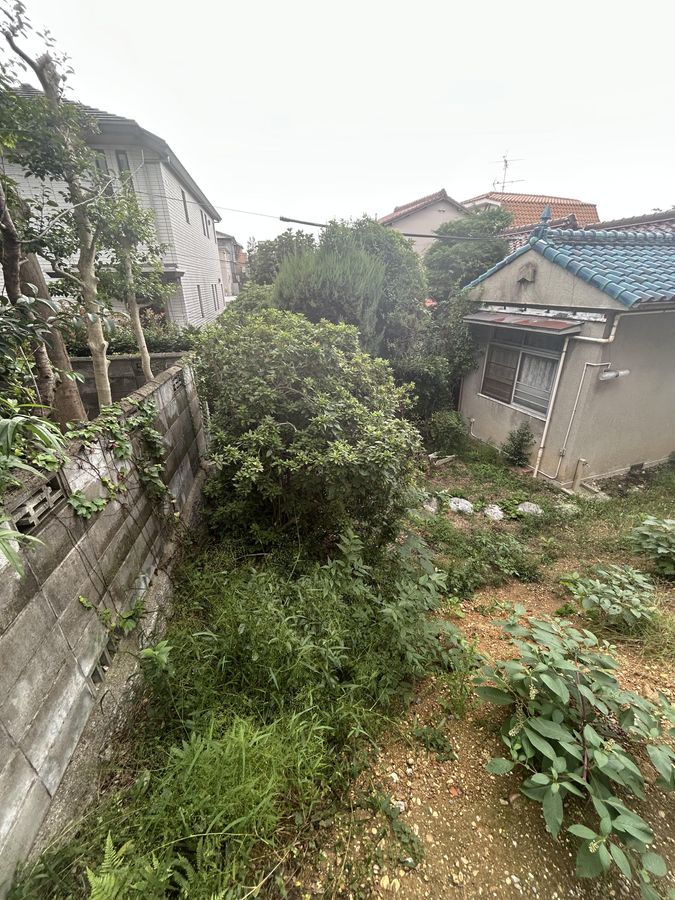土地写真
