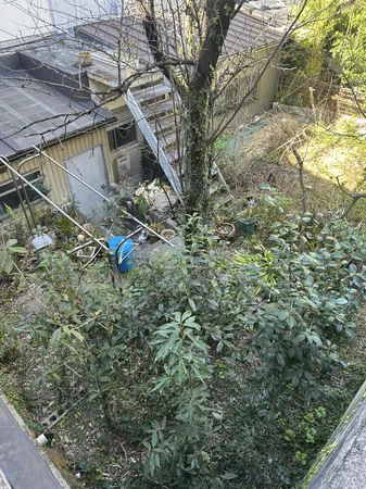 敷地奥に高低差あります。