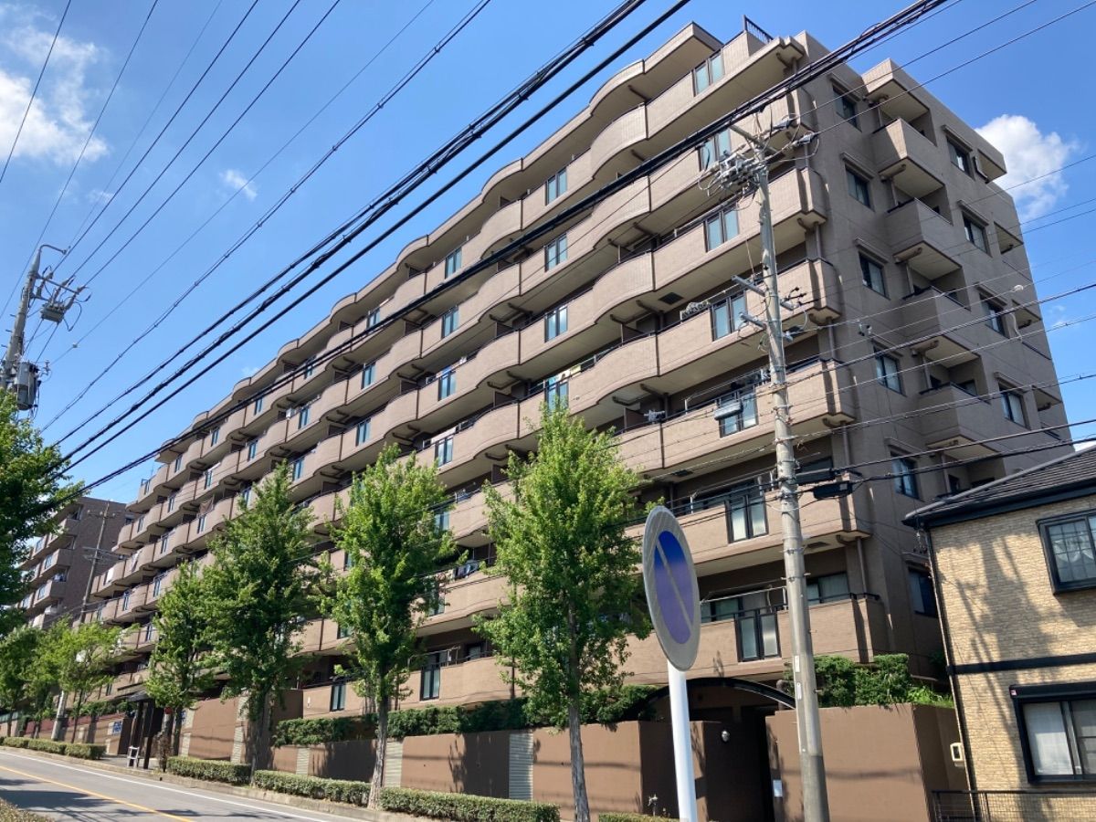 ダイアパレス島田東星の丘 外観 外観