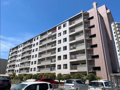 天白第二住宅 4号棟 外観