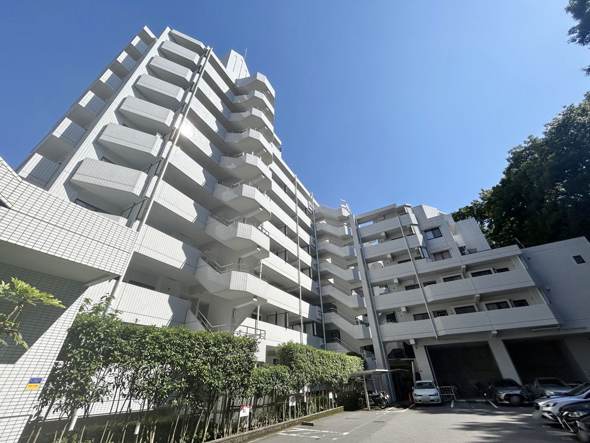 星ヶ丘スカイマンション 外観 外観