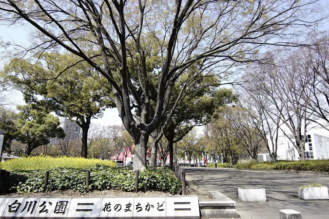 徒歩5分。