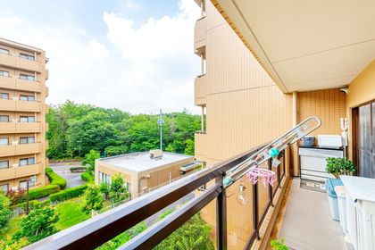 シティコーポ島田東 A棟 眺望 眺望