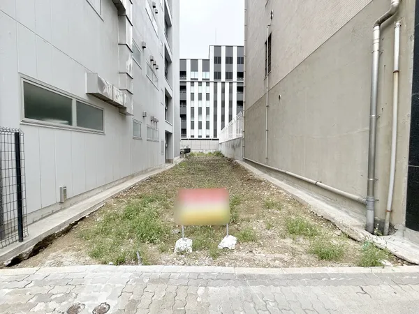 現地写真