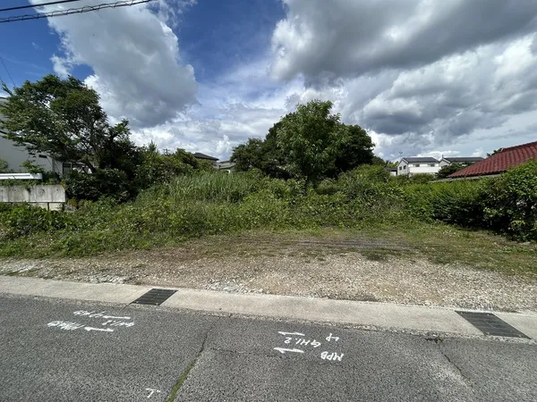 現地写真