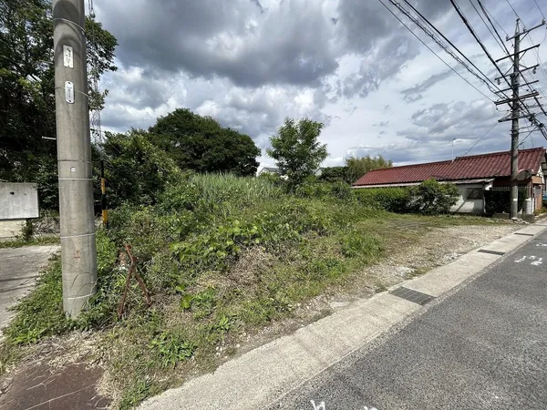 現地写真