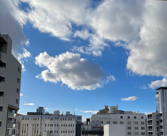 プレサンスグラン丸の内 眺望 プレサンスグラン丸の内 眺望