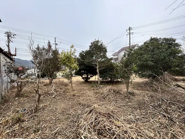 敷地南側
