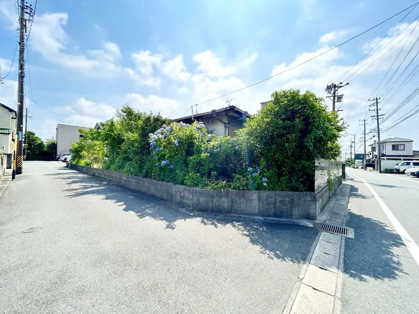 現地写真