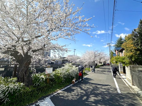 瑞穂区石川町4丁目 その他現地