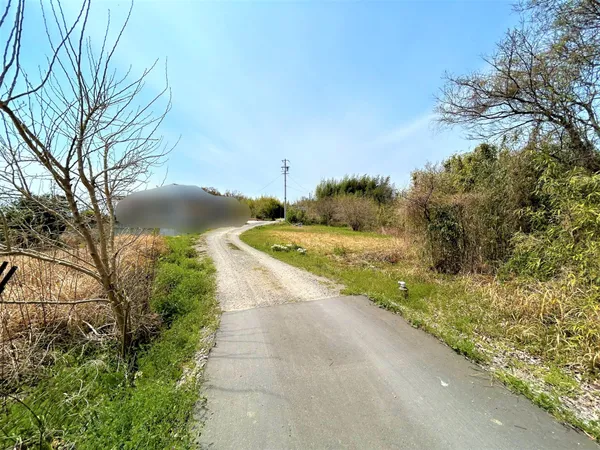 南側前面道路