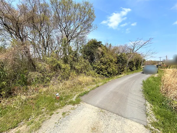 南側前面道路+写真左側該当地