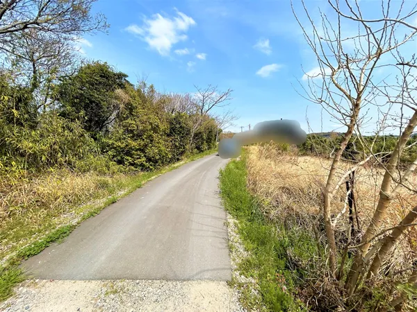 南側前面道路+写真左側該当地