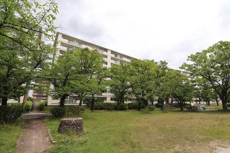 藤の木団地 6号棟 外観 藤の木団地 6号棟 外観