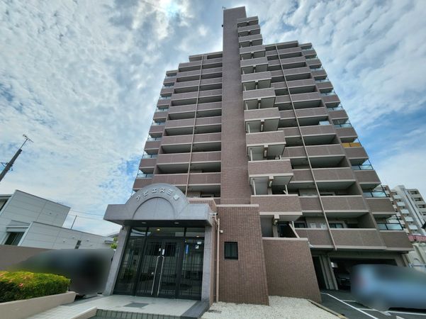 アピエス三郷 外観 アピエス三郷 外観