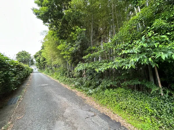 現地