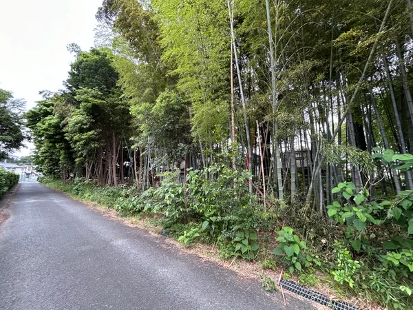 現地