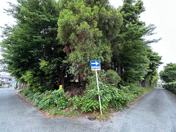 現地