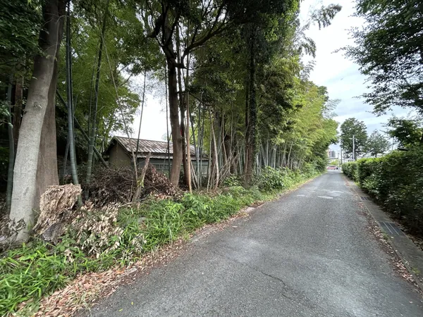 現地