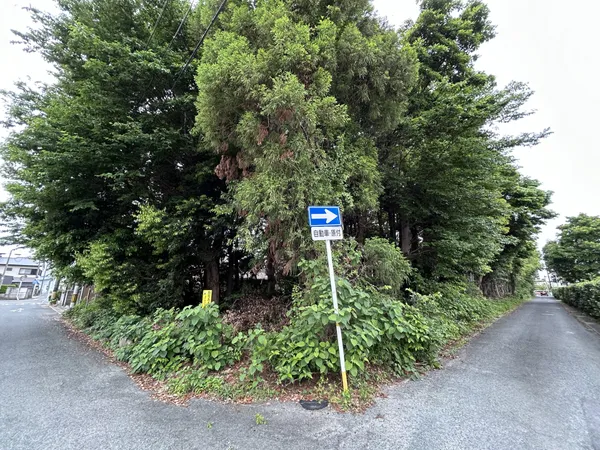 現地