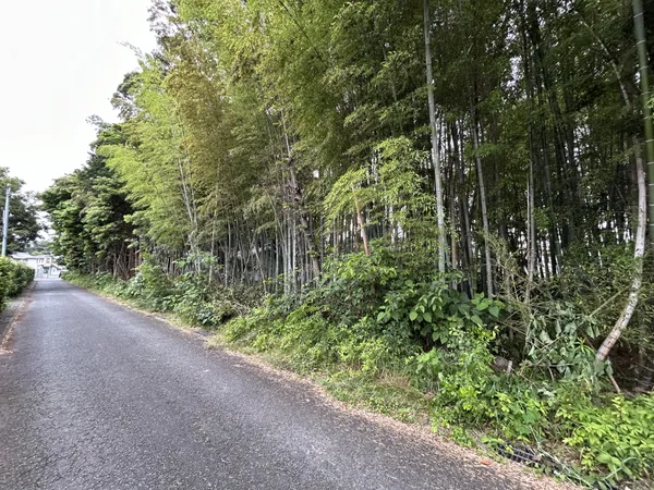 現地