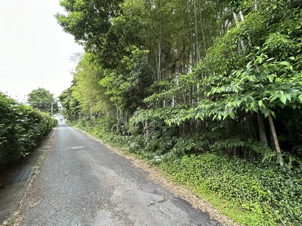 現地