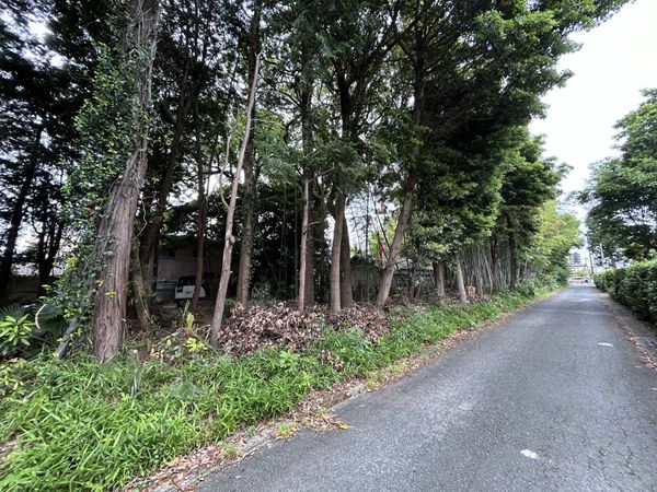 土地写真