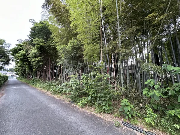 現地