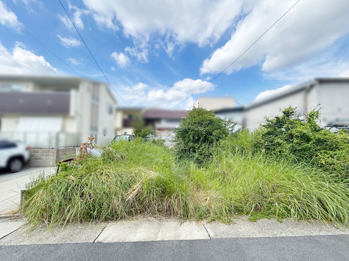 土地写真