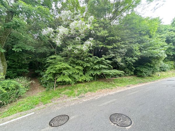 土地写真