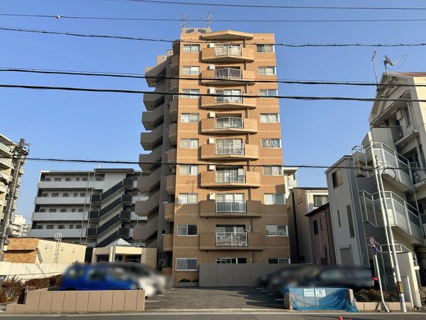 サンピボット指金 外観