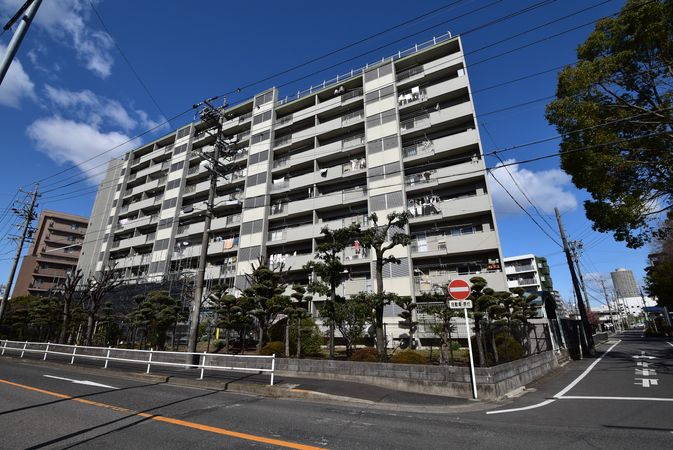 鳩岡マンション 外観 鳩岡マンション 外観