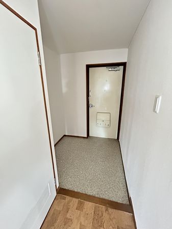 メゾン千代田 玄関