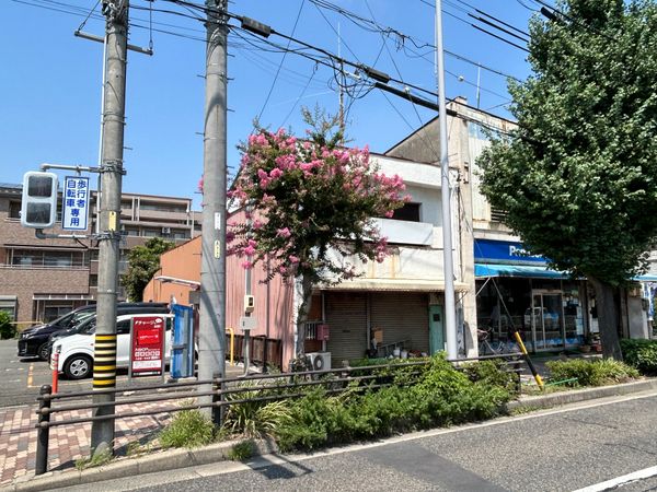 土地写真