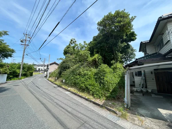 現地写真