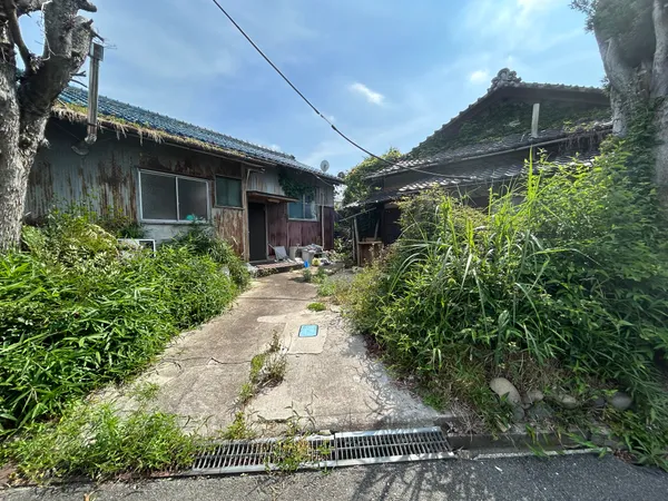 現地写真