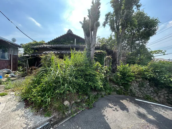 現地写真