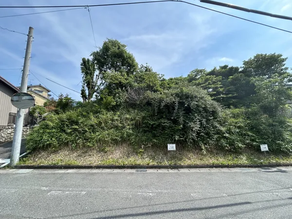 現地写真